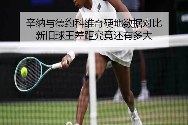 辛纳与德约科维奇硬地数据对比 新旧球王差距究竟还有多大
